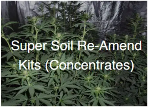 A large group of marijuana plants with the words " super soil re-ame kits concentrates ".