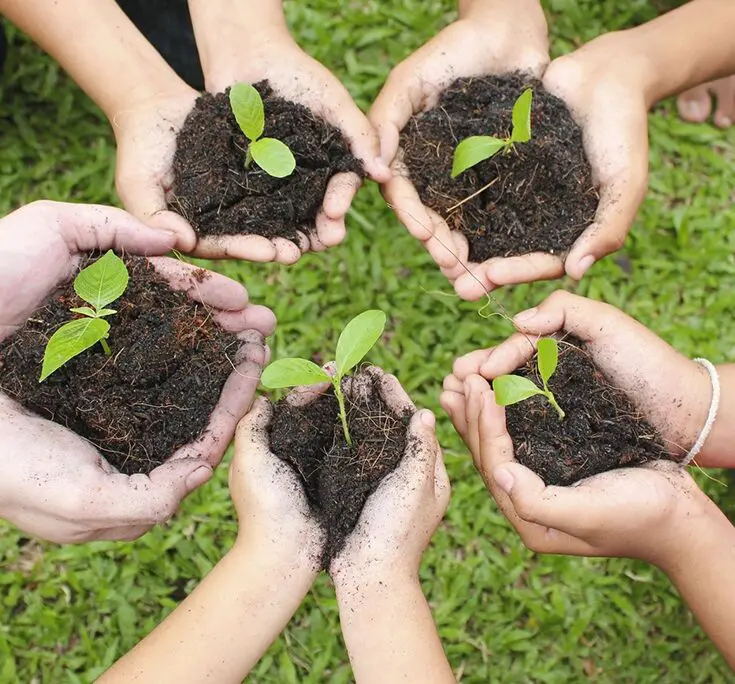 A group of people holding plants in their hands.