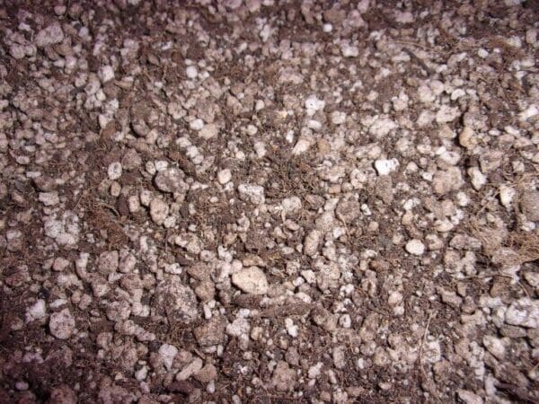 A close up of some rocks and dirt