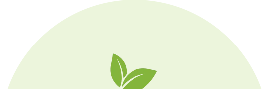 A green background with two leaves on it.