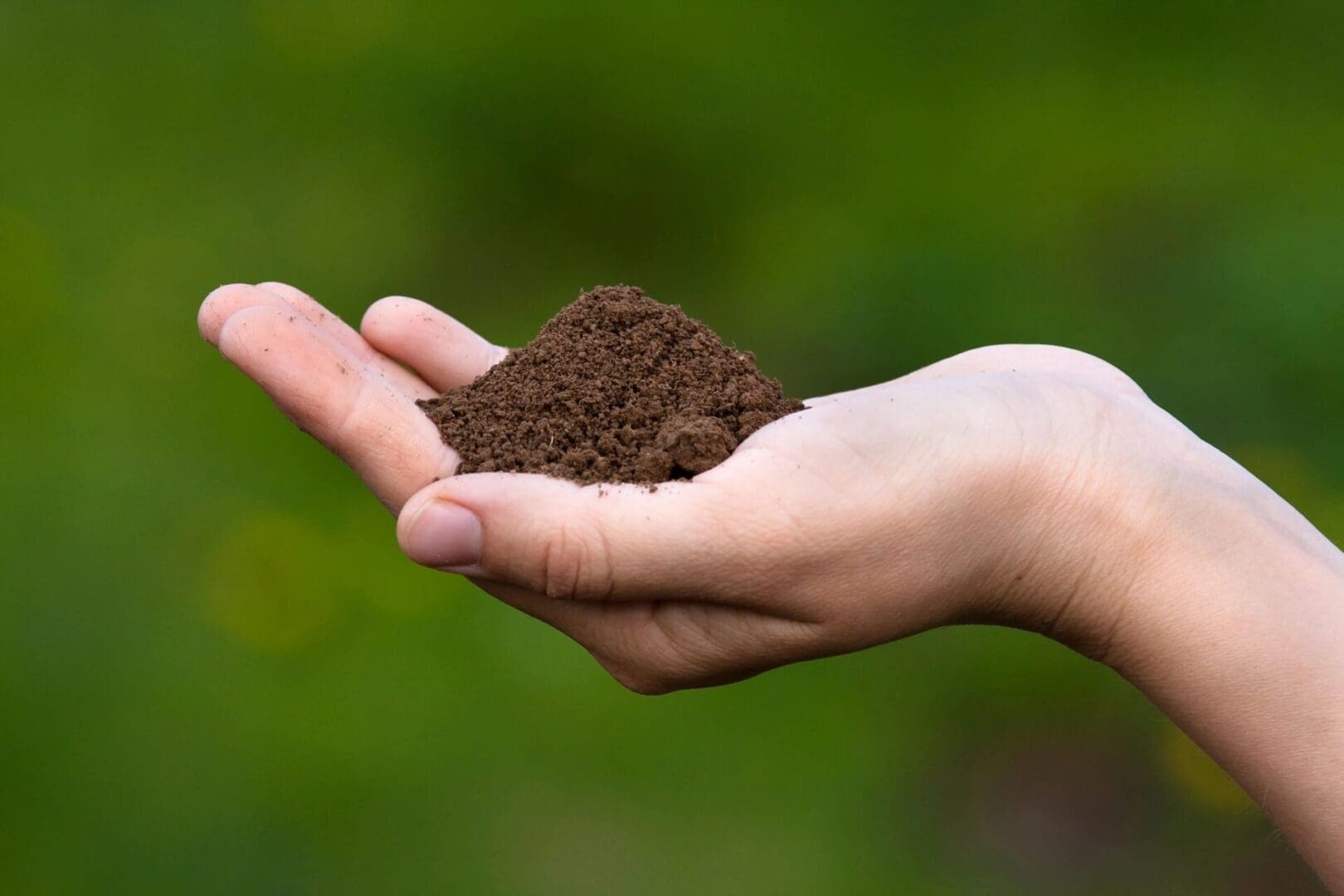 A person holding dirt in their hand.