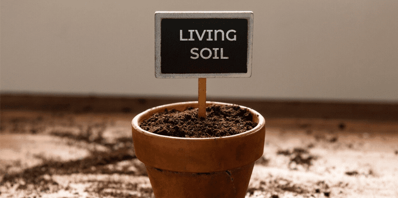 Living Soil