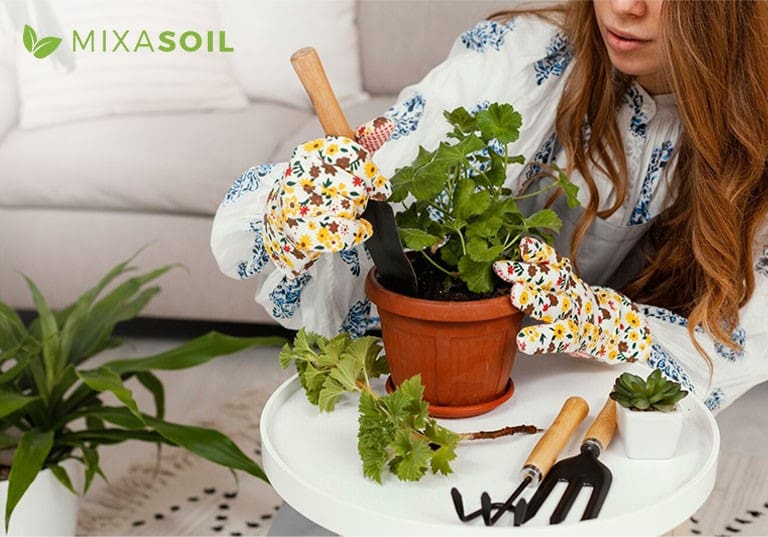 Potting Mix for Indoor Plants Potting Mix for Indoor Plants