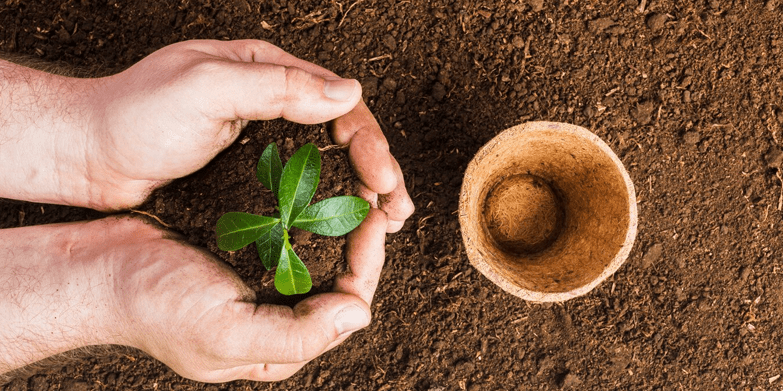 Organic Planting Soil