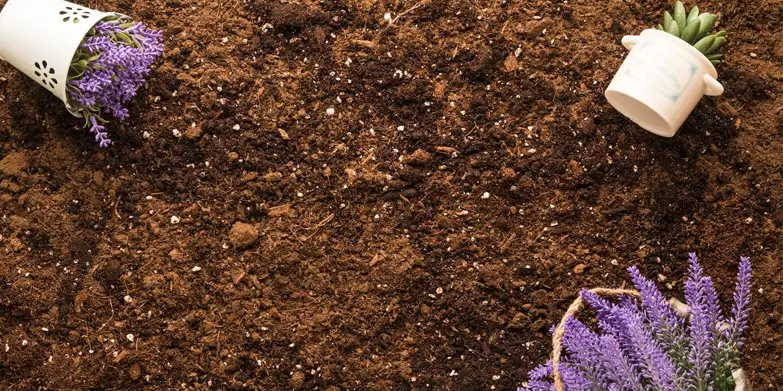Organic Potting Soil Mix
