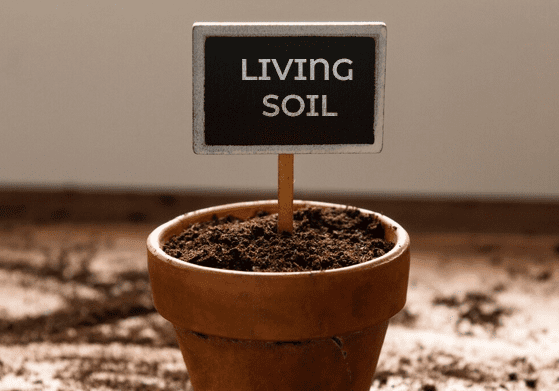 Living Soil