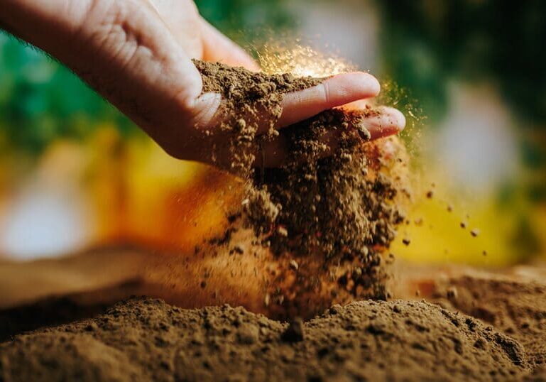 Organic Soil Mix